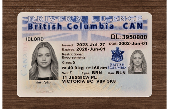 British Columbia Fake IDs British Columbia Fake id front side