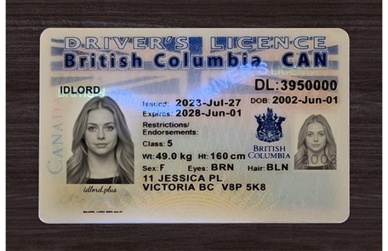 British Columbia Fake IDs British Columbia Fake id front side