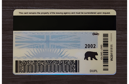 British Columbia Fake IDs British Columbia Fake id front side