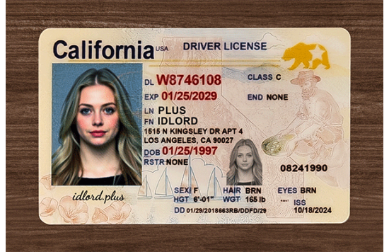 California Fake IDs California Fake id front side