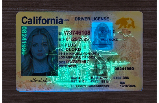 California Fake IDs California Fake id front side