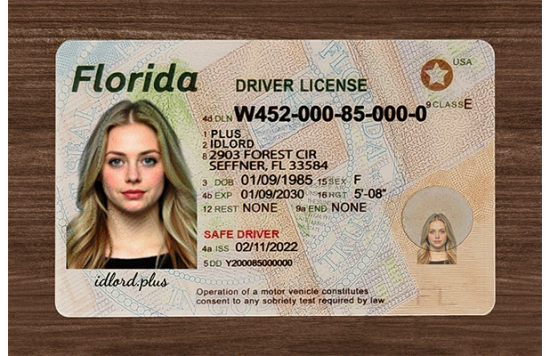 Florida Fake IDs Florida Fake id front side