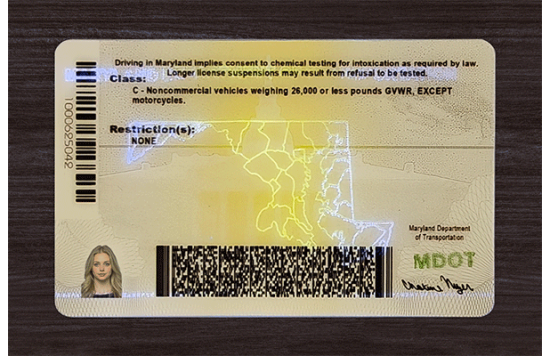 Maryland Fake id front side