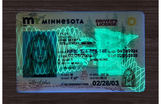Minnesota Fake id front side