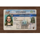 Nevada Fake Dirvers Licence Nevada Fake id front side