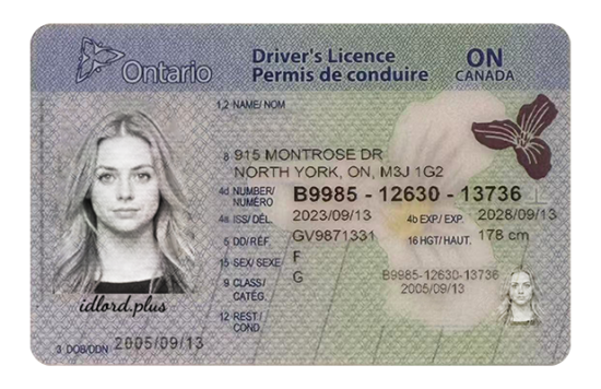 Ontario Fake Dirvers Licence (upgrade version) Ontario Fake id front side