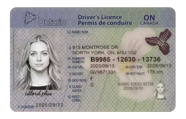 Ontario Fake Dirvers Licence (upgrade version)