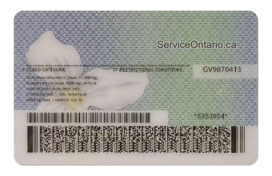 Ontario Fake Dirvers Licence (upgrade version) Ontario Fake id front side