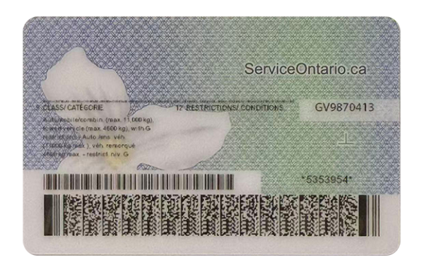 Ontario Fake Dirvers Licence (upgrade version)