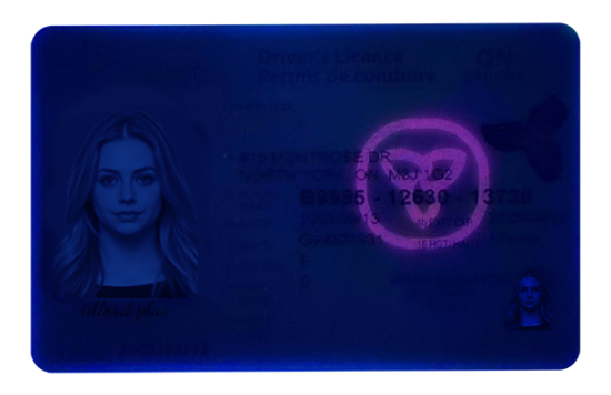 Ontario Fake Dirvers Licence (upgrade version) Ontario Fake id front side