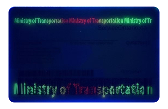 Ontario Fake Dirvers Licence (upgrade version) Ontario Fake id front side