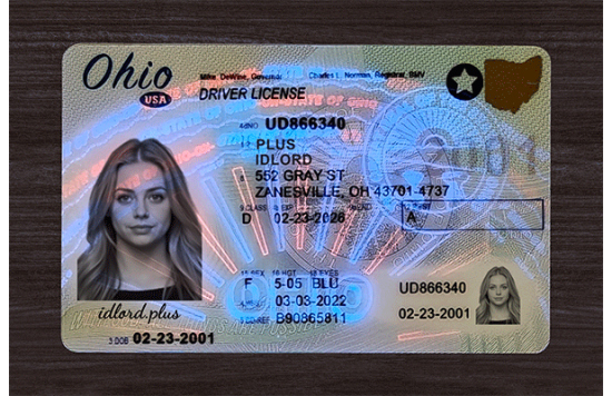 Ohio Fake Dirvers Licence Ohio Fake id front side