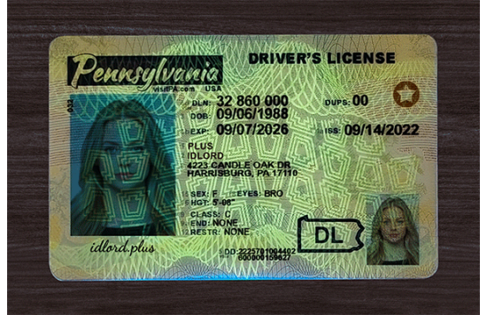 Pennsylvania Fake Dirvers Licence Pennsylvania Fake id front side