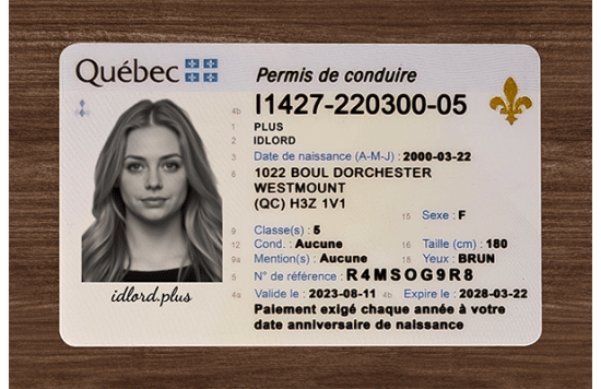 Quebec Fake Dirvers Licence Quebec Fake id front side
