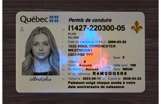 Quebec Fake Dirvers Licence Quebec Fake id front side