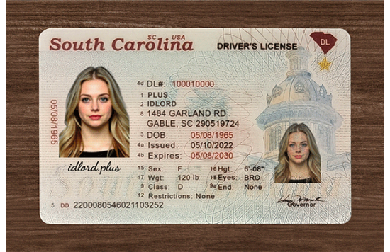 South Carolina Fake IDs South Carolina Fake id front side