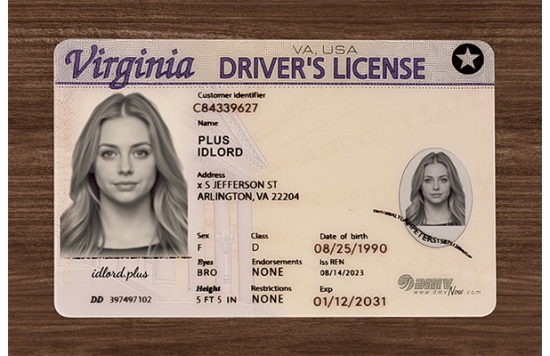 Virginia Fake Dirvers Licence Virginia Fake id front side