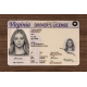 Virginia Fake Dirvers Licence Virginia Fake id front side