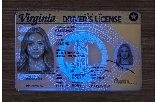 Virginia Fake Dirvers Licence Virginia Fake id front side
