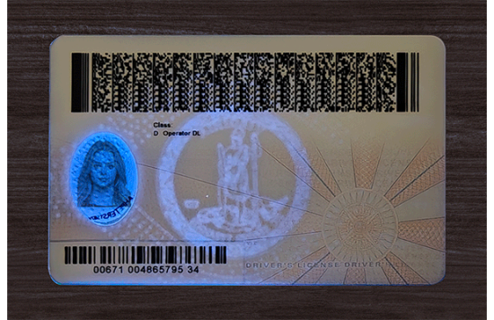 Virginia Fake Dirvers Licence Virginia Fake id front side