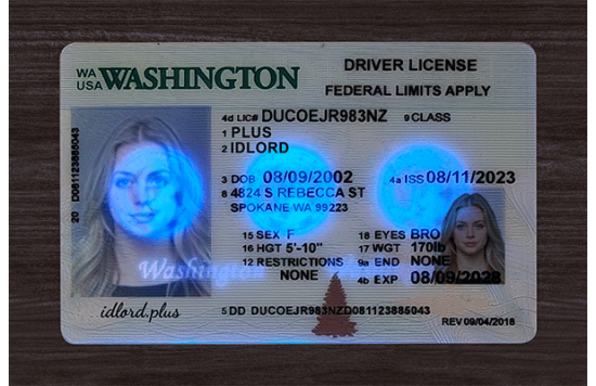 Washington Fake Dirvers Licence Washington Fake id front side